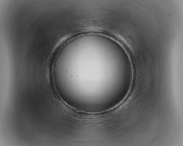 X0000115691307200911191106