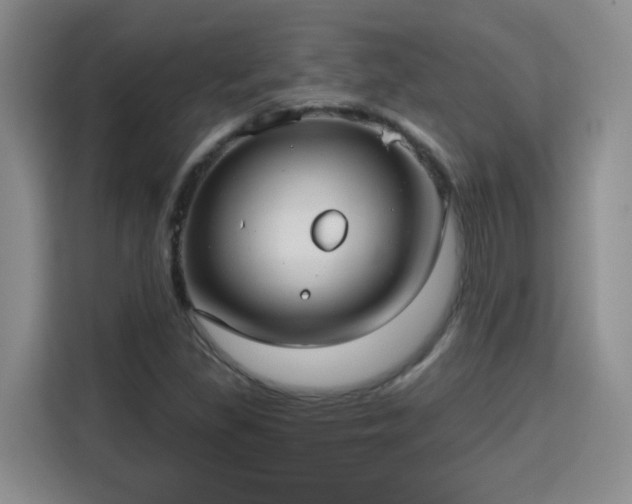 X0000115691309200911191106