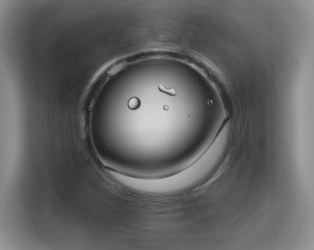 X0000115691310200911191106