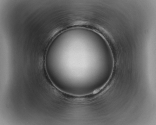 X0000115691313200911191106