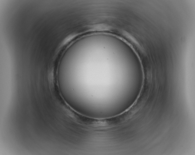 X0000115691315200911191106