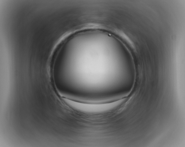 X0000115691318200911191106