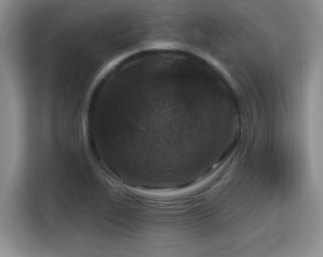 X0000115691319200911191106