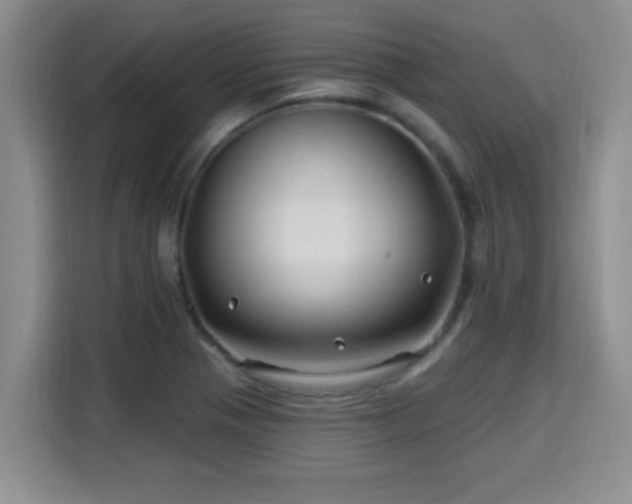 X0000115691321200911191106