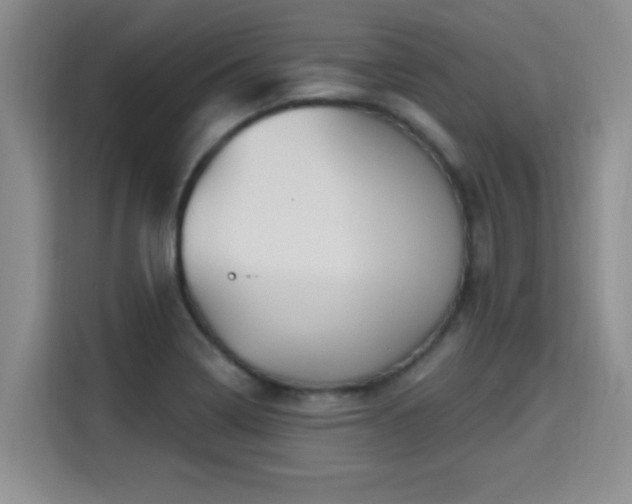 X0000115691322200911191106