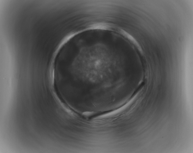 X0000115691323200911191106