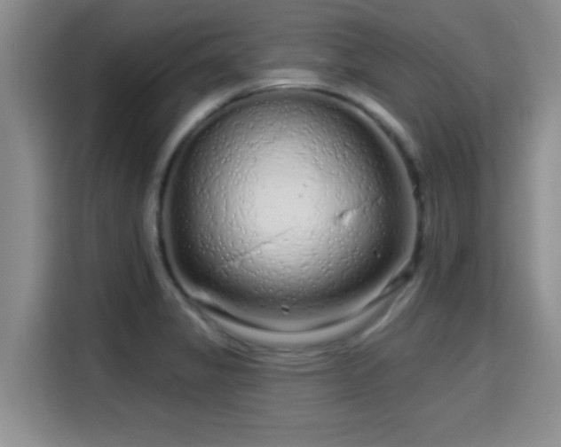 X0000115691325200911191106