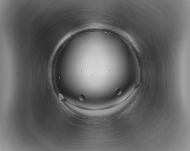 X0000115691326200911191106