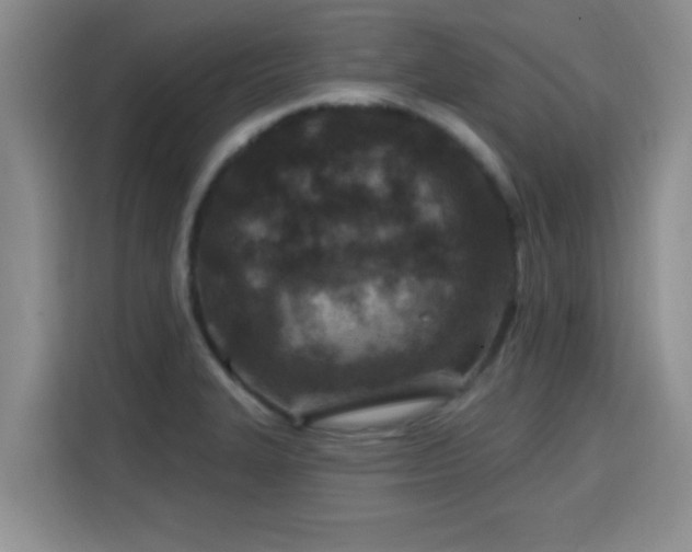 X0000115691327200911191106