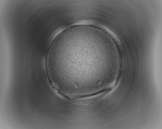 X0000115691329200911191106