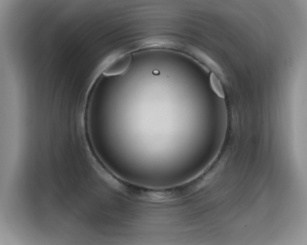 X0000115691330200911191106