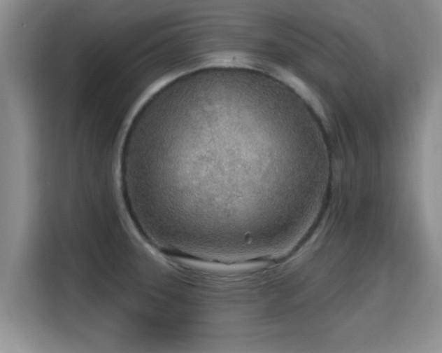 X0000115691331200911191106