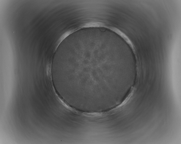 X0000115691337200911191106