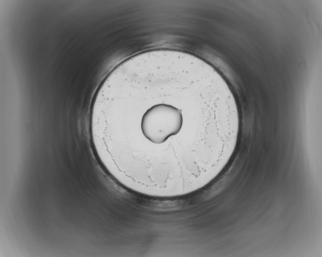 X0000115691338200911191106