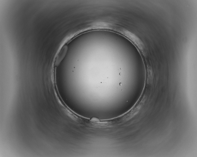 X0000115691342200911191106