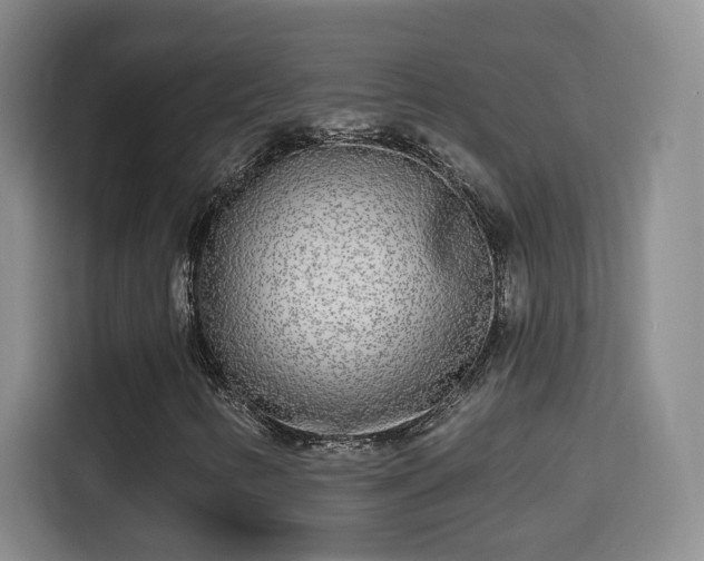 X0000115691346200911191106