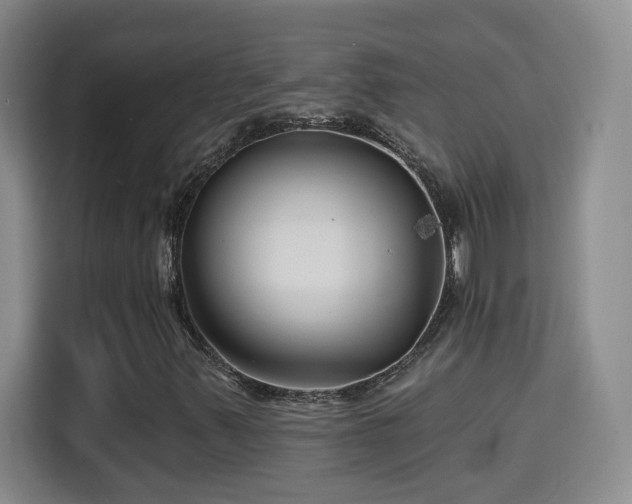 X0000115691347200911191106