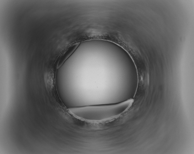 X0000115691348200911191106