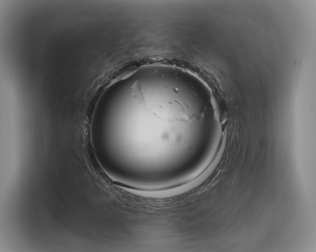 X0000115691349200911191106