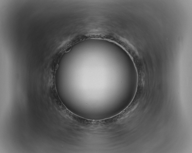 X0000115691350200911191106