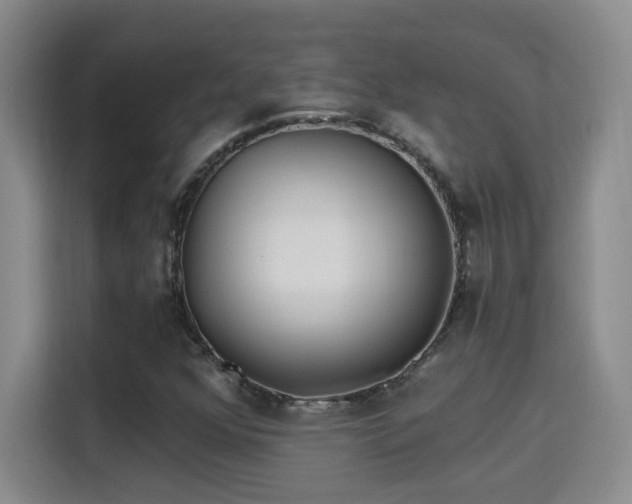 X0000115691352200911191106