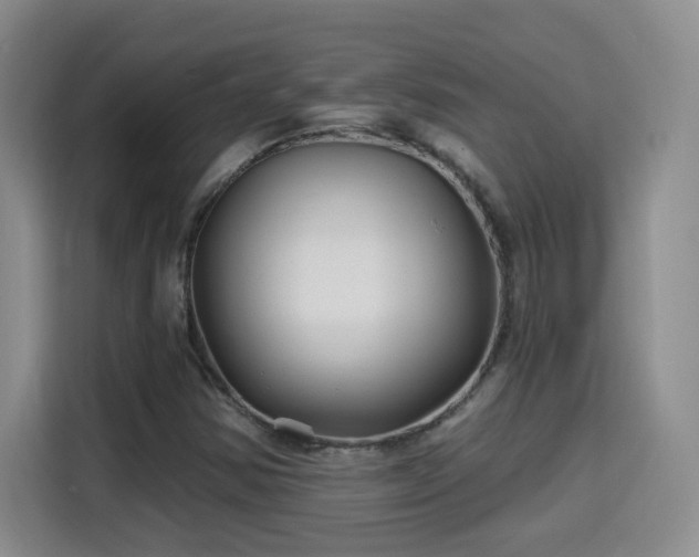 X0000115691354200911191106