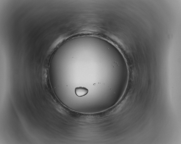 X0000115691355200911191105