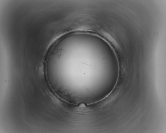 X0000115691356200911191105