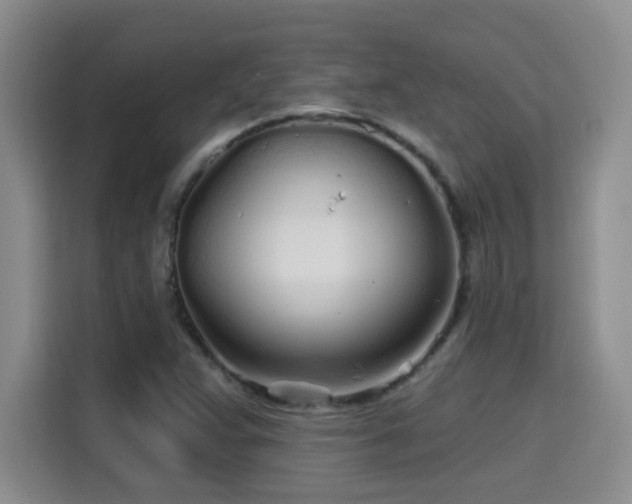 X0000115691359200911191105