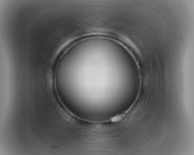 X0000115691360200911191105