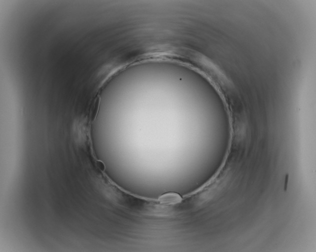 X0000115691361200911191105