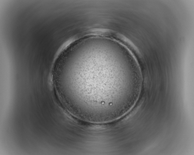 X0000115691362200911191105