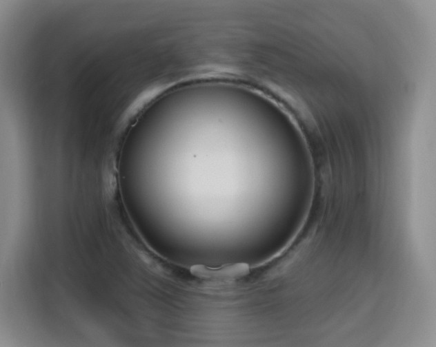 X0000115691363200911191105