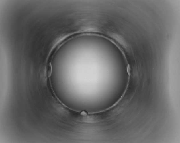 X0000115691364200911191105