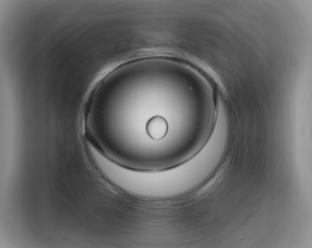 X0000115691365200911191105