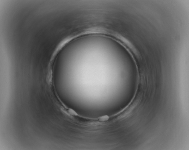 X0000115691366200911191105