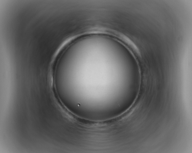 X0000115691368200911191105