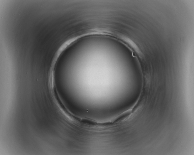 X0000115691371200911191105