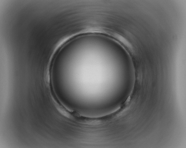 X0000115691372200911191105