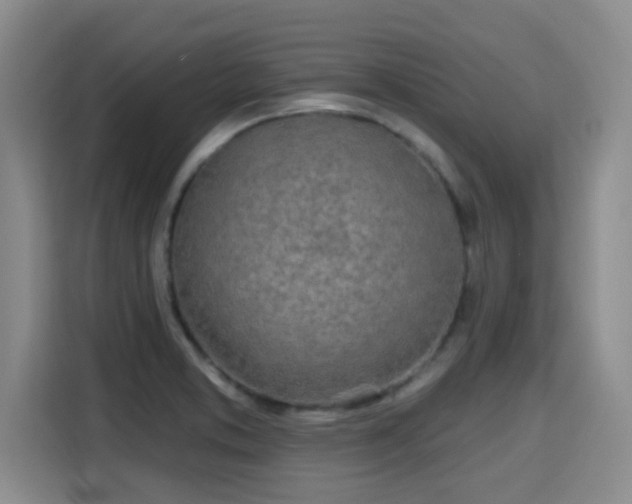 X0000115691373200911191105