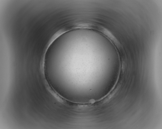 X0000115691378200911191105