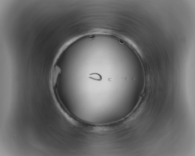 X0000115691379200911191105