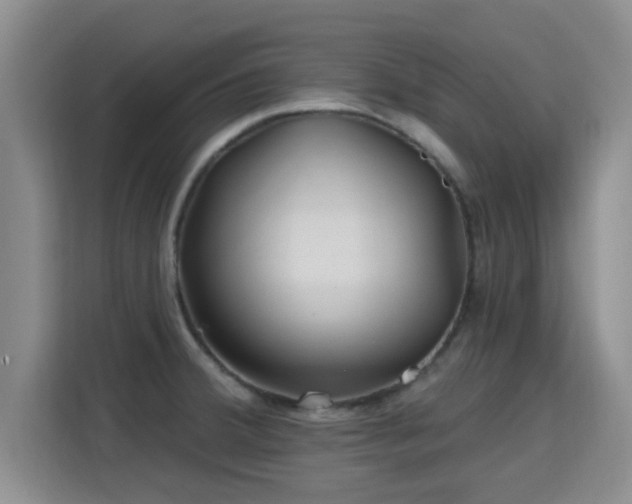 X0000115691380200911191105