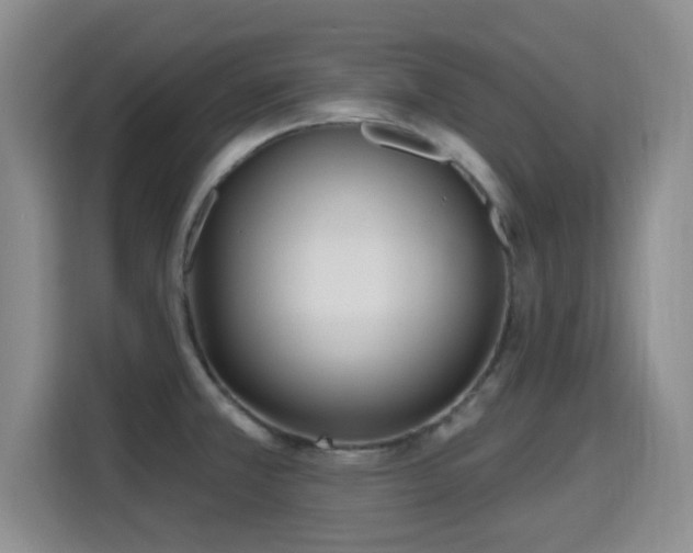 X0000115691381200911191105