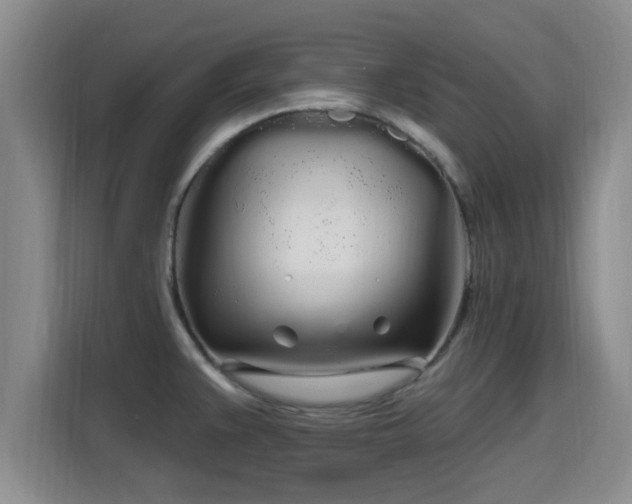 X0000115691383200911191105