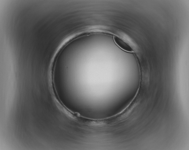 X0000115691384200911191105