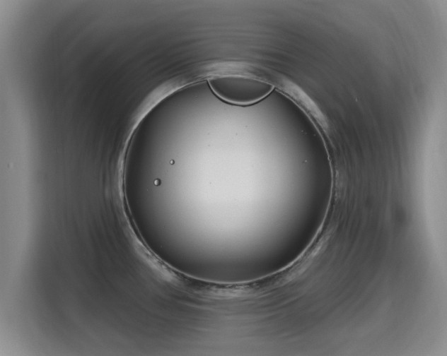 X0000115691386200911191105