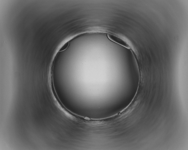 X0000115691387200911191105