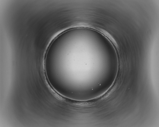 X0000115691388200911191105