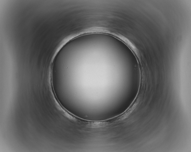 X0000115691390200911191105